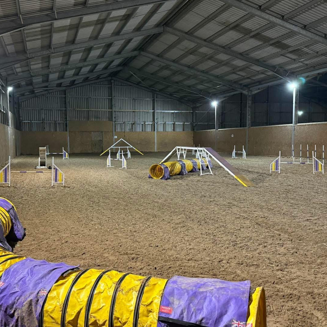Dog Agility - Indoor Arena Hire