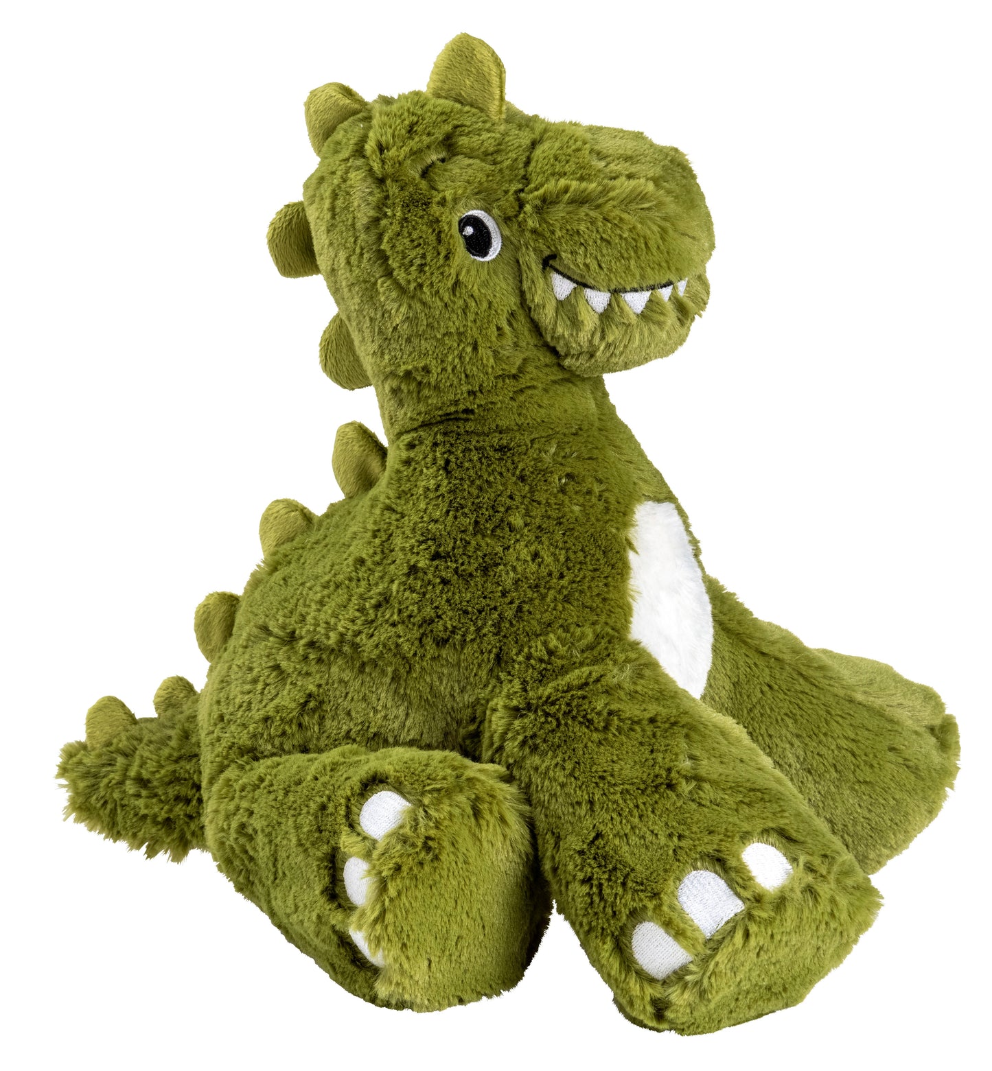 Dinosaur big paws