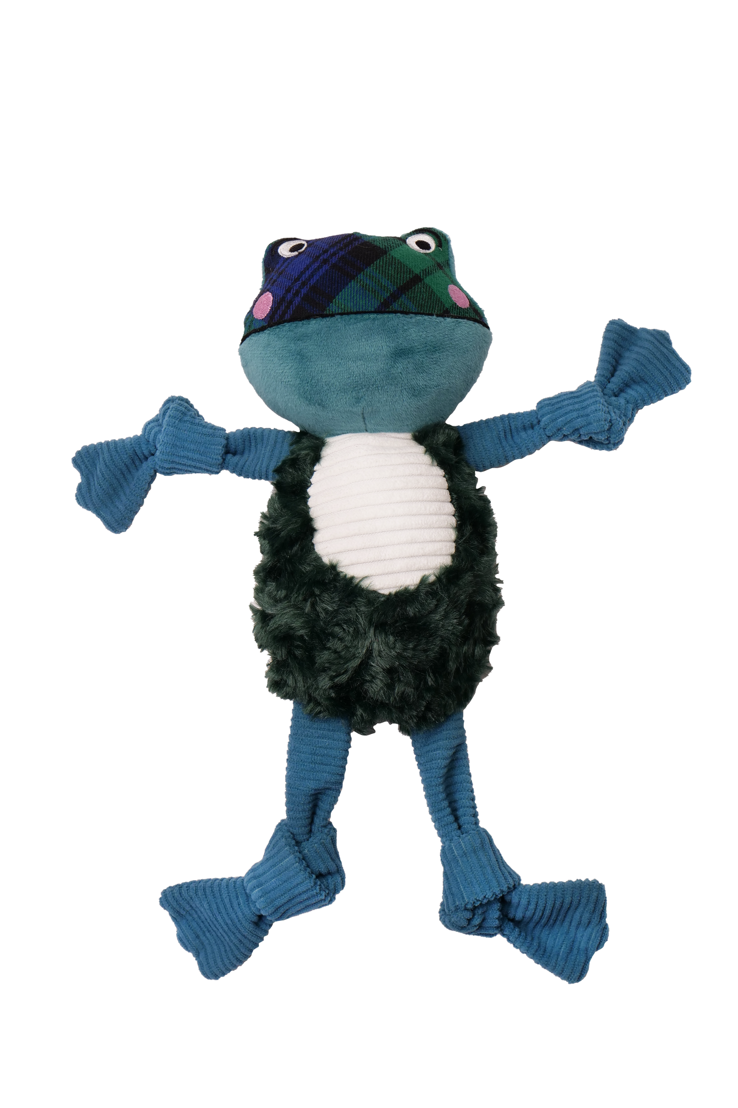 Winter Frog Dog Toy