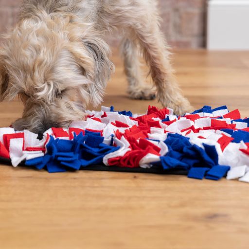 Union Jack Snuffle Mat