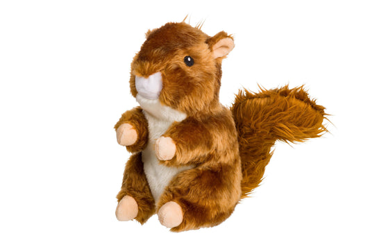 Woodland Squirrel