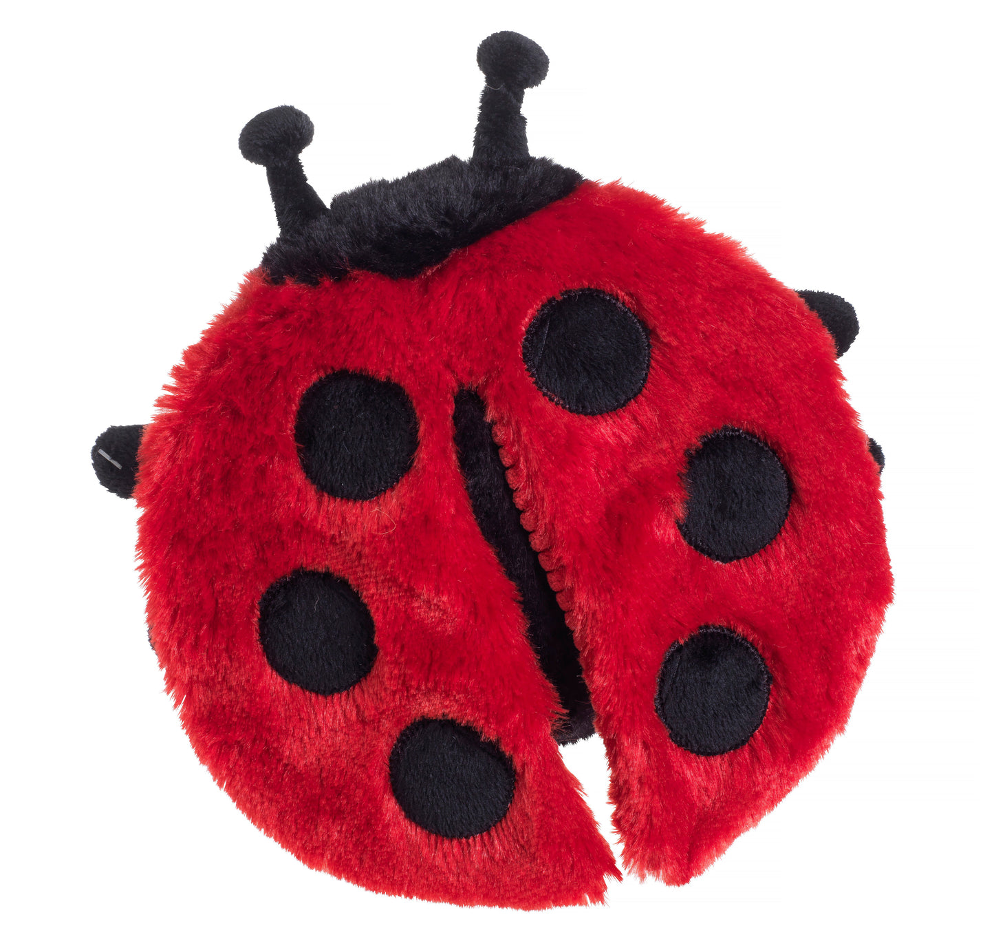 Really Squeaky Ladybird