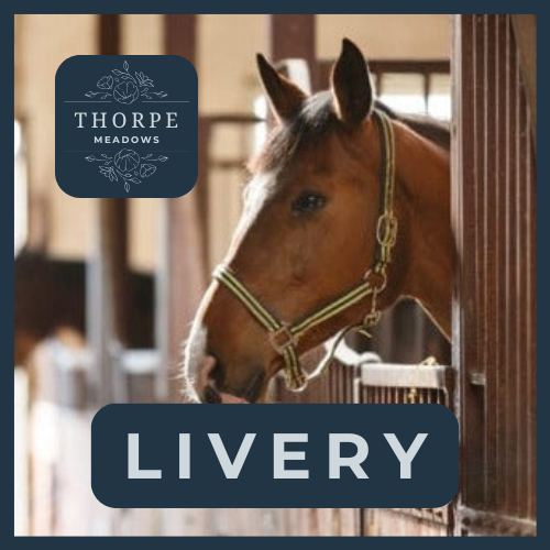 Horse Livery