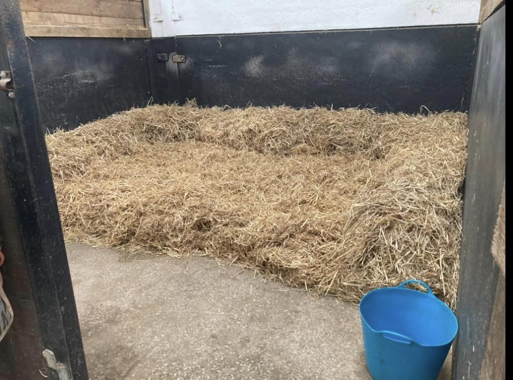 Overnight Stable Hire